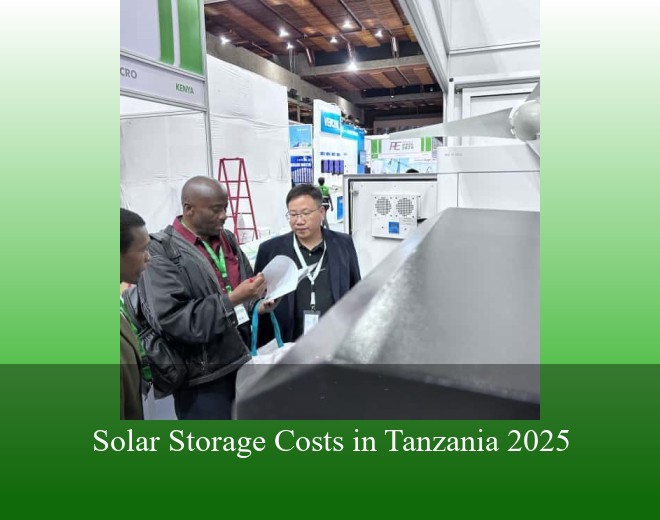 Solar Storage Costs in Tanzania 2025